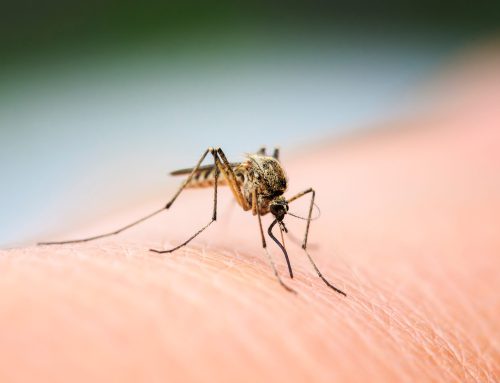 Protection from West Nile Virus
